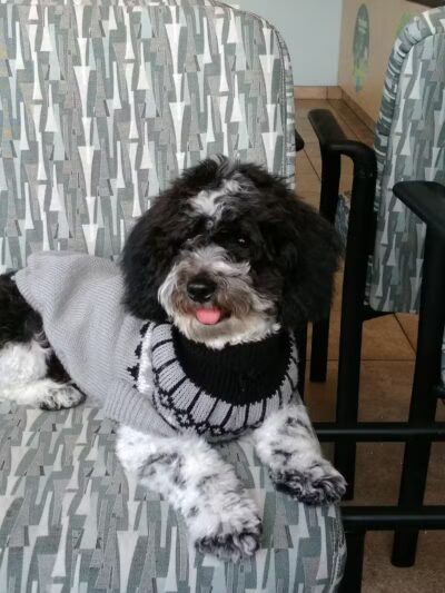 John Riel Memorial Park - Allen Park,