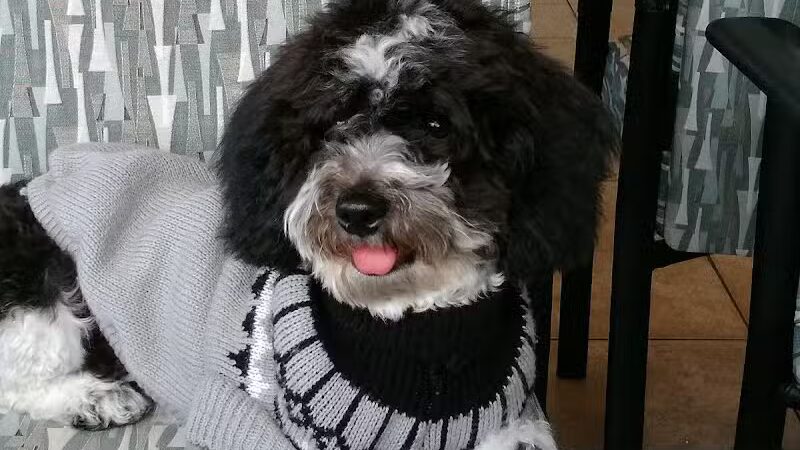 John Riel Memorial Park - Allen Park,