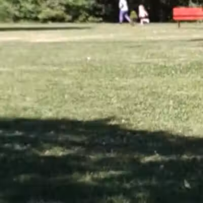 John Riel Memorial Park - Allen Park,