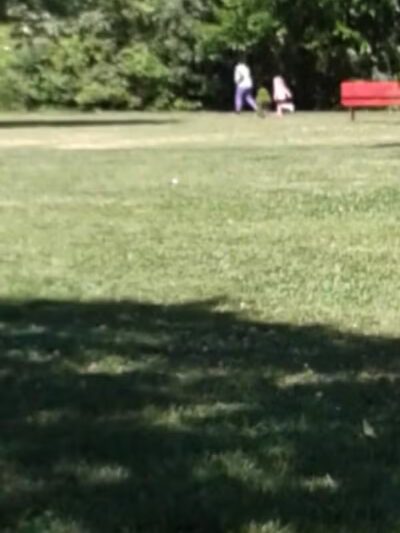 John Riel Memorial Park - Allen Park,