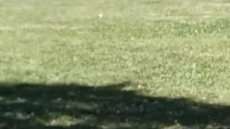 John Riel Memorial Park - Allen Park,