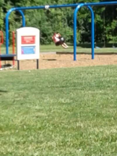 John Riel Memorial Park - Allen Park,