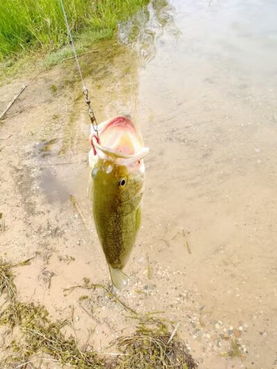 Grand River Open Space - Allendale,