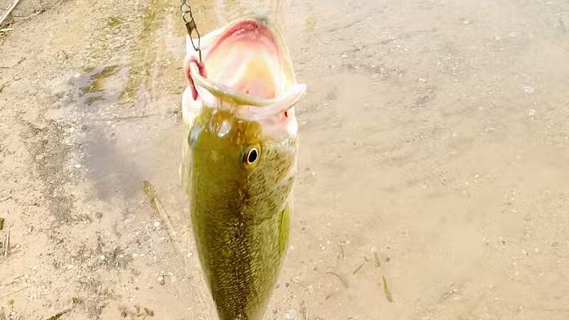 Grand River Open Space - Allendale,