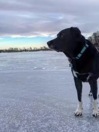 Grand River Open Space - Allendale,