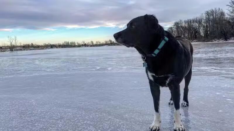 Grand River Open Space - Allendale,