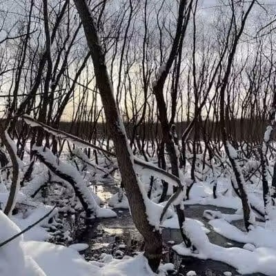 Grand River Open Space - Allendale,