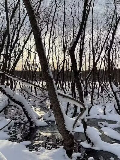 Grand River Open Space - Allendale,