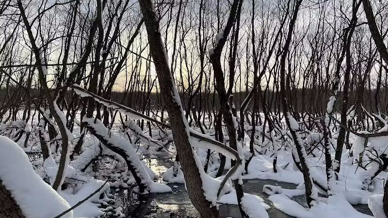 Grand River Open Space - Allendale,