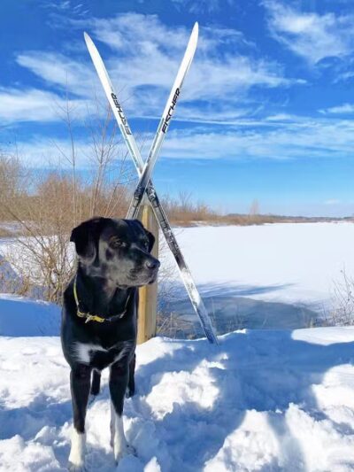 Grand River Open Space - Allendale,