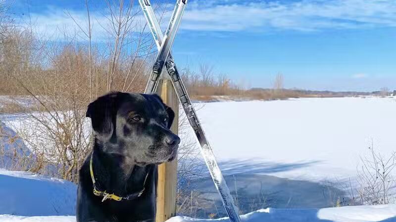 Grand River Open Space - Allendale,