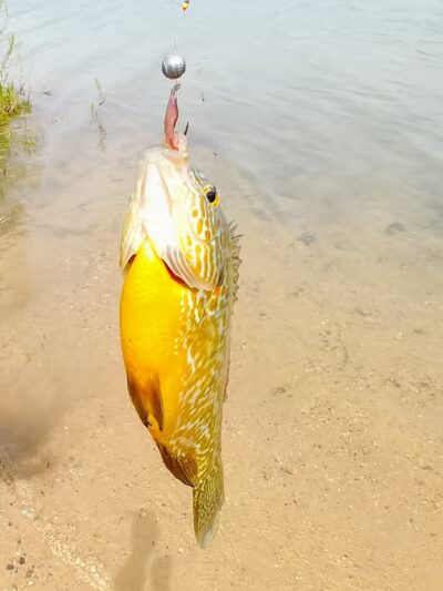 Grand River Open Space - Allendale,
