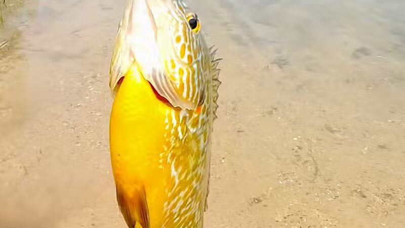 Grand River Open Space - Allendale,