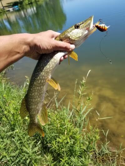 Grand River Open Space - Allendale,