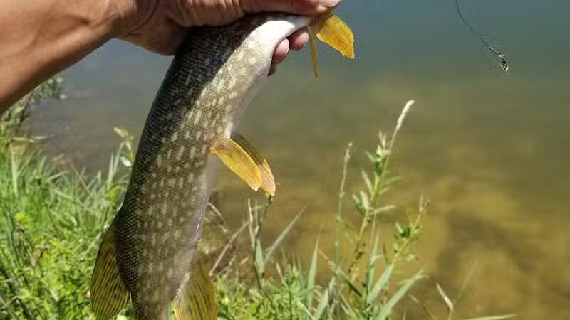 Grand River Open Space - Allendale,