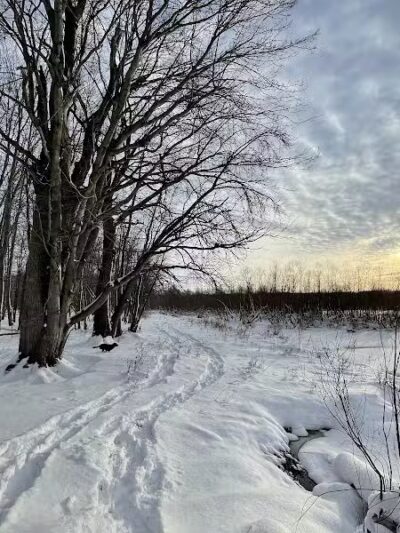 Grand River Open Space - Allendale,
