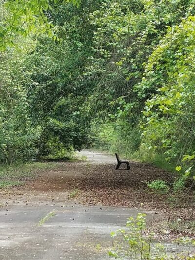 Lower Savannah River Alliance Greenway - Allendale, SC