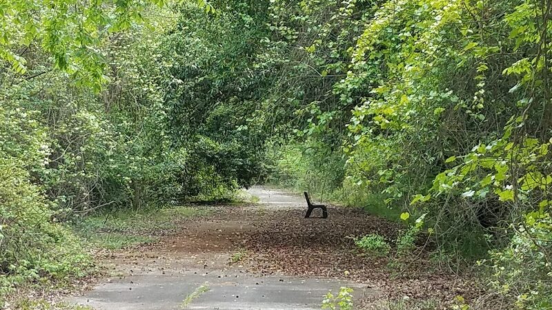 Lower Savannah River Alliance Greenway - Allendale, SC