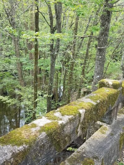 Lower Savannah River Alliance Greenway - Allendale, SC