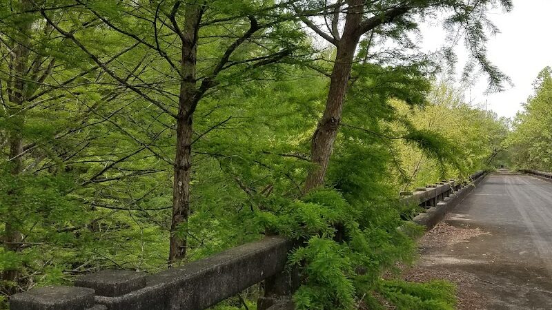 Lower Savannah River Alliance Greenway - Allendale, SC