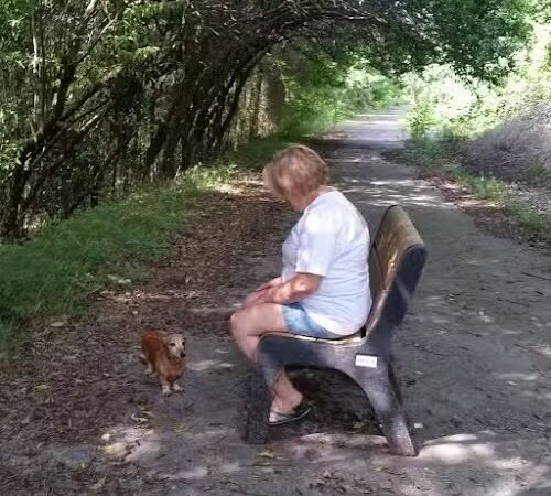 Lower Savannah River Alliance Greenway - Allendale, SC