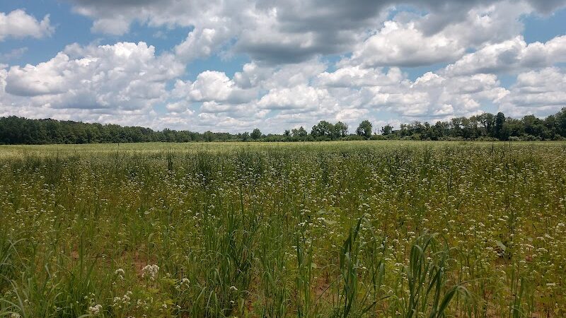 Union Transportation Trail - Allentown, NJ