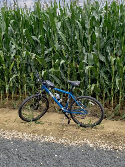 Union Transportation Trail - Allentown, NJ