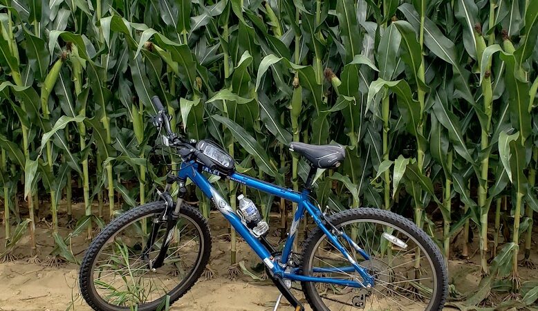 Union Transportation Trail - Allentown, NJ