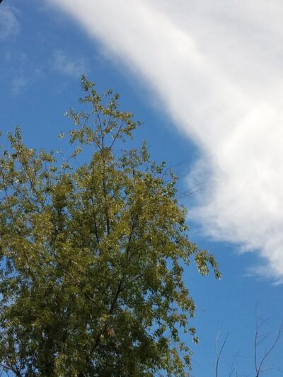 Union Transportation Trail - Allentown, NJ