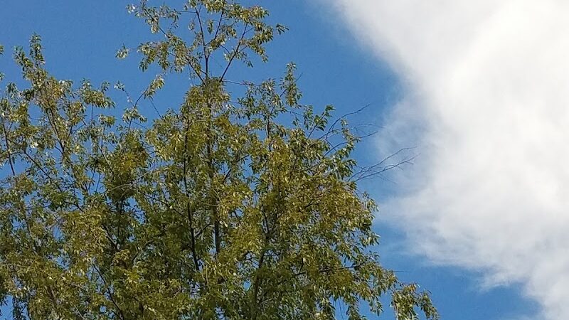 Union Transportation Trail - Allentown, NJ