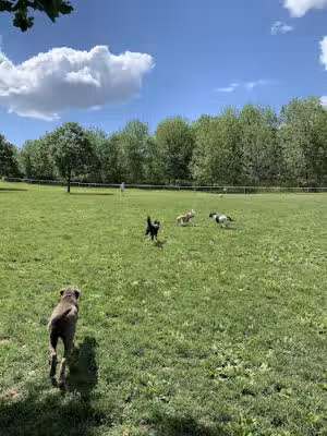 Cedar Creek Parkway West Dog Park - Allentown, PA