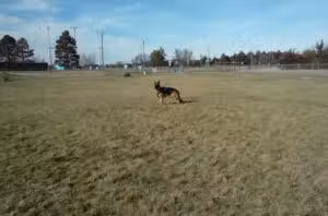 Wiggly Field Dog Park - Alliance, NE