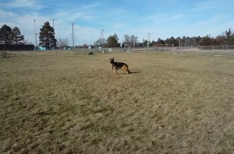 Wiggly Field Dog Park - Alliance, NE