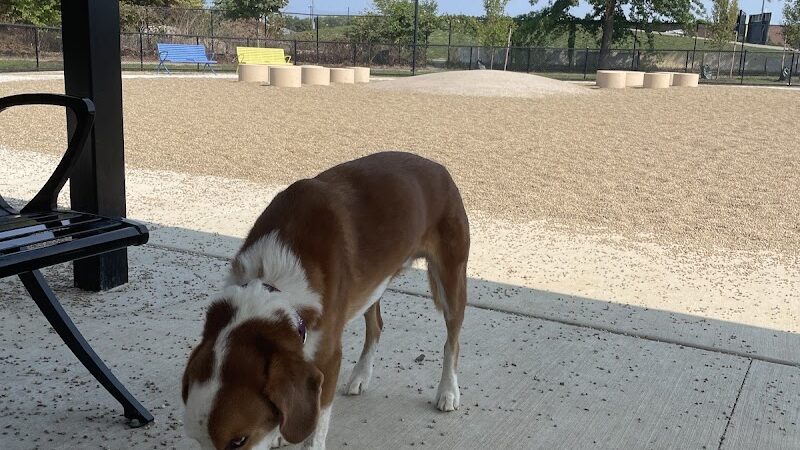 Soldiers Field Road Dog Park - Allston, MA