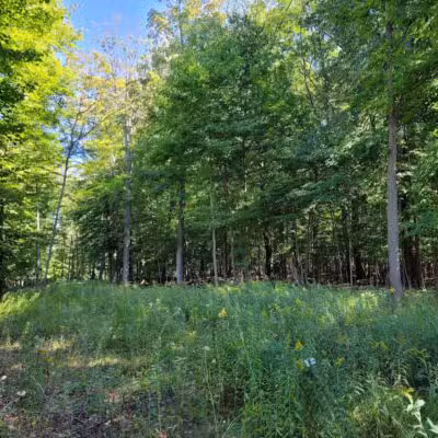 Alma Mountain Bike Trail - Alma,
