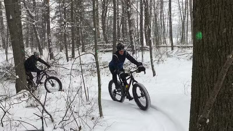 Alma Mountain Bike Trail - Alma,