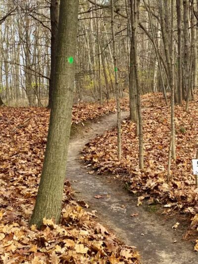 Alma Mountain Bike Trail - Alma,