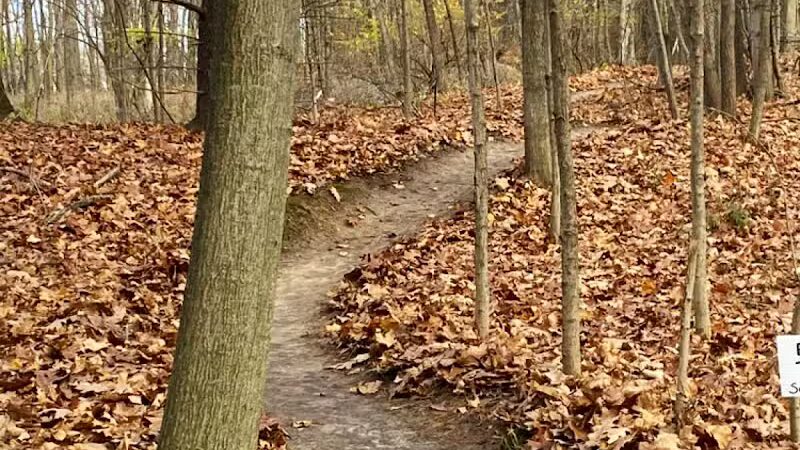 Alma Mountain Bike Trail - Alma,