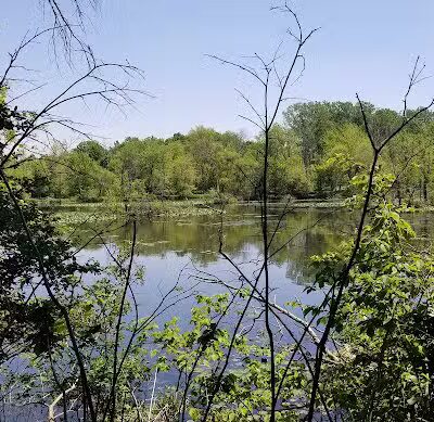 The Runway DGC - Alma,