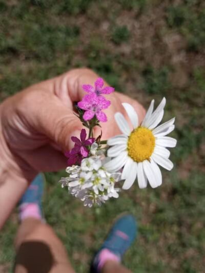 The Runway DGC - Alma,