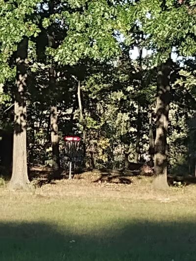 The Runway DGC - Alma,