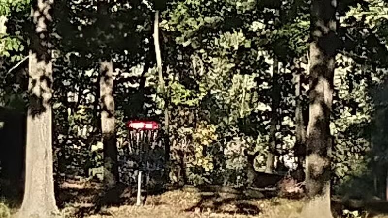 The Runway DGC - Alma,