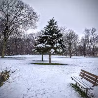 Almont Village Park - Almont,