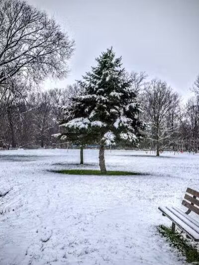 Almont Village Park - Almont,