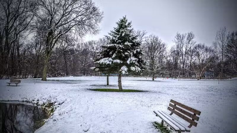 Almont Village Park - Almont,