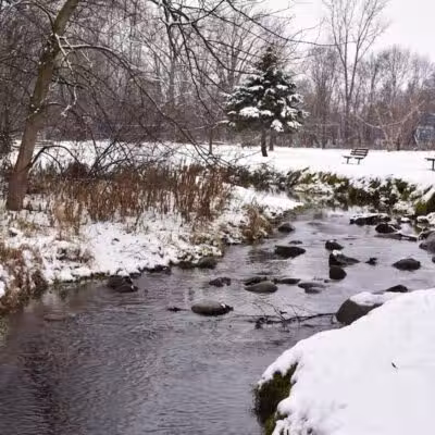 Almont Village Park - Almont,