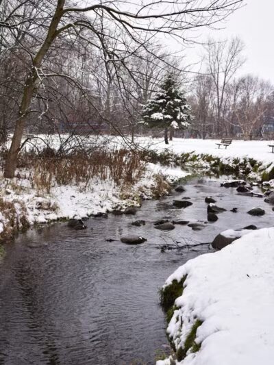 Almont Village Park - Almont,