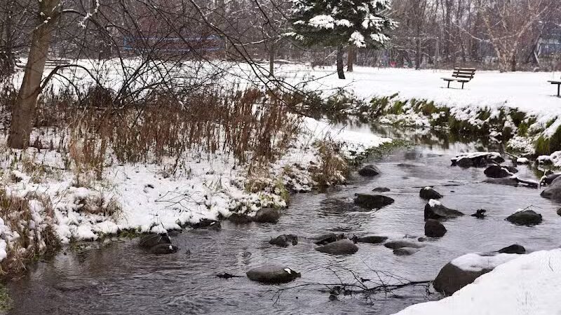 Almont Village Park - Almont,