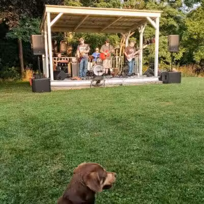 Almont Village Park - Almont,