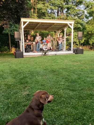 Almont Village Park - Almont,